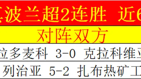 门多萨独立解放者杯前景展望：专家质合分析期号推荐
